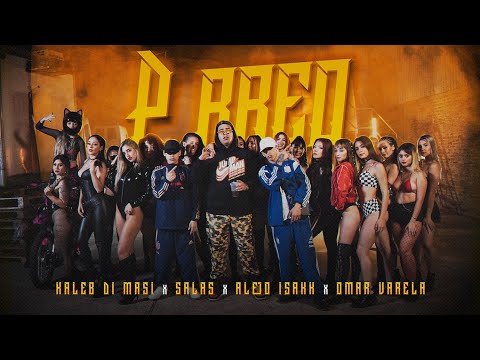 Kaleb Di Masi ❌ Alejo Isakk ❌ Salastkbron ❌ Omar Varela - P RREO (VIDEO OFICIAL)