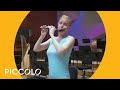 Understanding the Piccolo and Flute