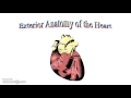 Heart and Circulatory System Concepts