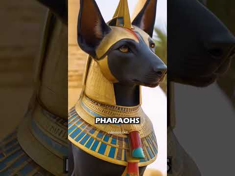 Facts about DOGS You Didn't Know
