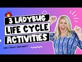 Ladybug Life Cycle and Observation