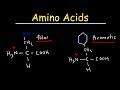 Amino Acids and Their Properties
