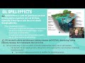 Impact of Oil Spills on Aquatic Ecosystems