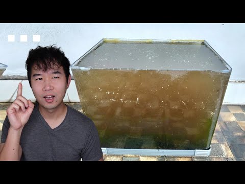 incredible aquascapes on the next level (unreachable) | Fish Tank Review 282