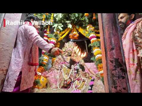 Radhika Vallabh Complete Aarti | Vrindavan | Radha Vallabh