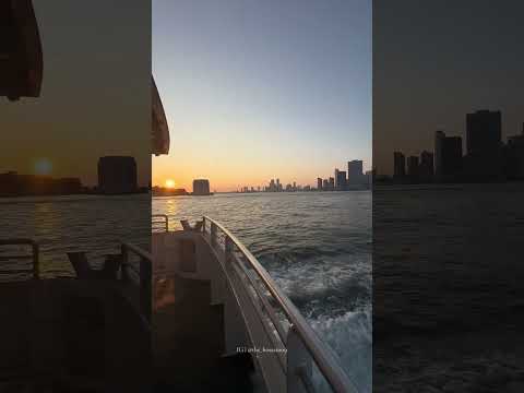 Chilling time NYC 📸 #the_mishal_09 #sunset #nyc #shortvideos #viralvideos