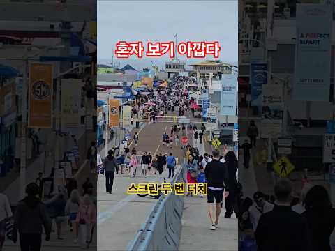 혼자 보기 아깝다