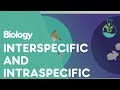 Interactions in Biological Communities
