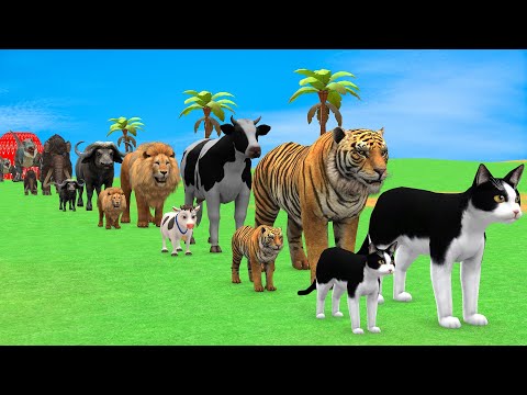 Long Slide Game with Cow Elephant Gorilla Hippopotamus Tiger 3d Animal Game Funny 3d Animals