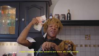 Fiji God - Chiffres