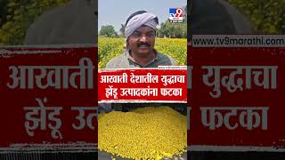 Dharashiv | आखाती देशातील युद्धाचा झेंडू उत्पादकांना फटका