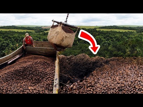 कॉफी से करोड़ों की कमाई | When Dumping Million Pounds Of Coffee Makes You Rich!