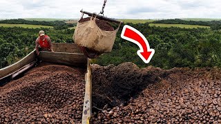 कॉफी से करोड़ों की कमाई | When Dumping Million Pounds Of Coffee Makes You Rich!