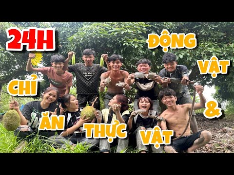 Anh Ba Phai | Thử Thách 24h Cắm Trại Sinh Tồn Chỉ Ăn Thực Vật - Động Vật