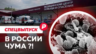 Грозит ли России эпидемия чумы?