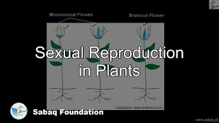 Sexual Reproduction In Plants