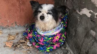 From Shivering On The Corner Streets To Sleeping Peacefully In Love—Tikhon’s Miracle Journey!