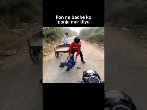 lion ne bache ko panja mar diya #shortsyoutube #shortsviral #trending