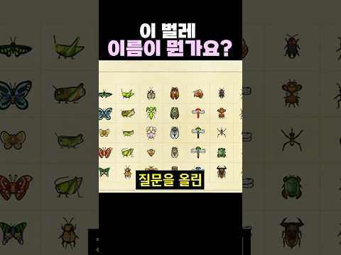 이 벌레 이름이 뭔가요??
