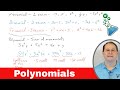 Understanding Polynomials and Their Properties