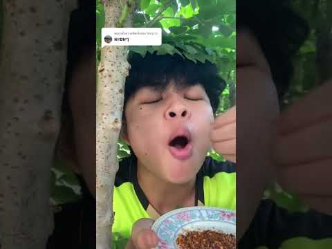 รีวิวผัก&ผลไม้ในบ้านEP:22 ขอบคุณที่รับชมโปรดติดตามตอนต่อไปขอบคุณค่ะ #อินดี้อินผัก