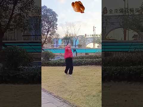 Where did the roast chicken fly?