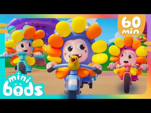 Lulu's Big Binky Hunt! | 60 Minutes of Minibods | Funny Stories | Preschool Cartoons