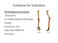 Evolutionary Evidence and Concepts