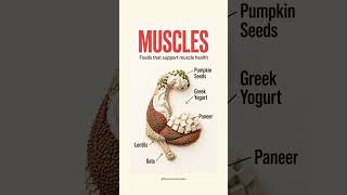 5 Best Foods for Your Organs 🫀🧠🫁 | Healthy Foods for Heart, Muscle, Teeth, Kidneys & Women Health