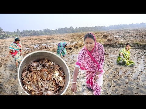 মাঠ থেকে কাঁকড়া ধরে বেগুন দিয়ে ঝাল রান্না সাথে আমুদি মাছের টক আর মটরশুঁটির ভর্তা || wild crab