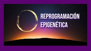 Duerme y REPROGRAMA TUS CÉLULAS en la Salud ✨✨✨