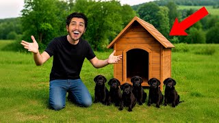 SÖZÜMÜ TUTTUM! ORMANDAKİ KÖPEKLERE KULÜBE YAPTIM…