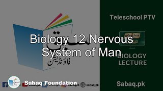 Biology 12 Nervous System of Man