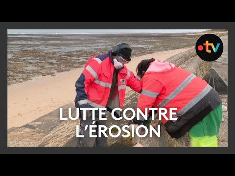 Lutte contre l'érosion des digues sur l'Île de Ré