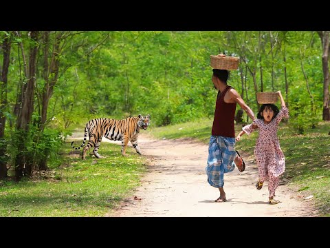जंगल मे बाघ ने किया एक आदमी पे हमला | TIGER ATTACK MAN IN THE FOREST | TIGER ATTACK STORIES.