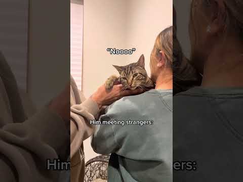 Cats are my rivals in love 😹