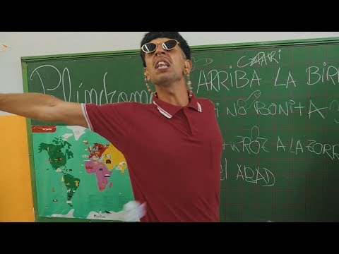 LOCOPLAYA - LA VUELTA AL COLE (Vidéo)