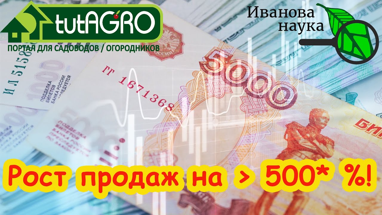 Лайфхак, как заработать денег реально работает сиди и считай свою прибыль: я работаю за вас!