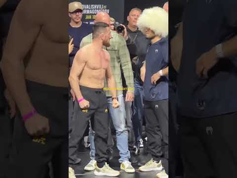 Khabib Aura 3