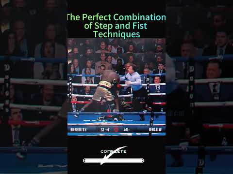 The perfect combination of step and fist techniques #boxing #fighting #kungfu #selfdefense #combot