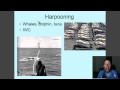 Environmental Impacts of Fishing Practices