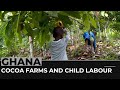 Cocoa Farming and Child Labor