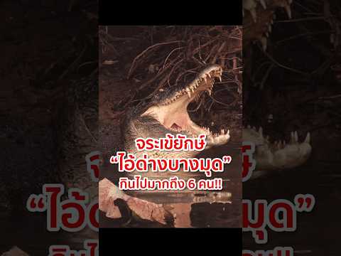 "ไอ้ด่างบางมุด" สัตว์ร้ายที่ออกอาละวาด และกินคน!! #ไอ้ด่างบางมุด #จระเข้ #crocodile