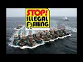 Overfishing and Its Impacts