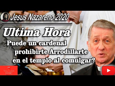 ADVERTENCIA: PUEDE UN CARDENAL PROHIBIRTE ARRODILLARTE EN EL TEMPLO AL COMULGAR ? DEBES OBEDECERLE?