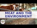 Environmental Impact of Animal Agriculture