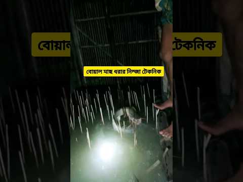 বোয়াল মাছ ধরার নিন্জা টেকনিক #Boalfish #fish #fishing #fishinglife #fisherman #AmaZing #shorts