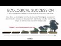 Ecological Succession and Biomes