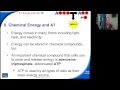 ATP and Energy in Cells