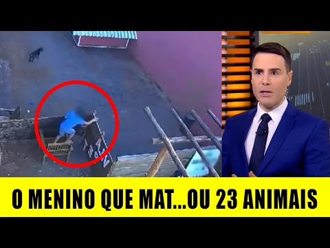 O pequeno de 9 anos que tirou  a vida de 23 animais